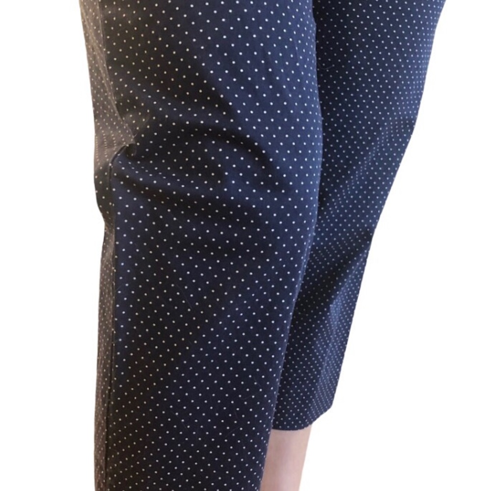 Cropped Navy and Polka Dot Pants
